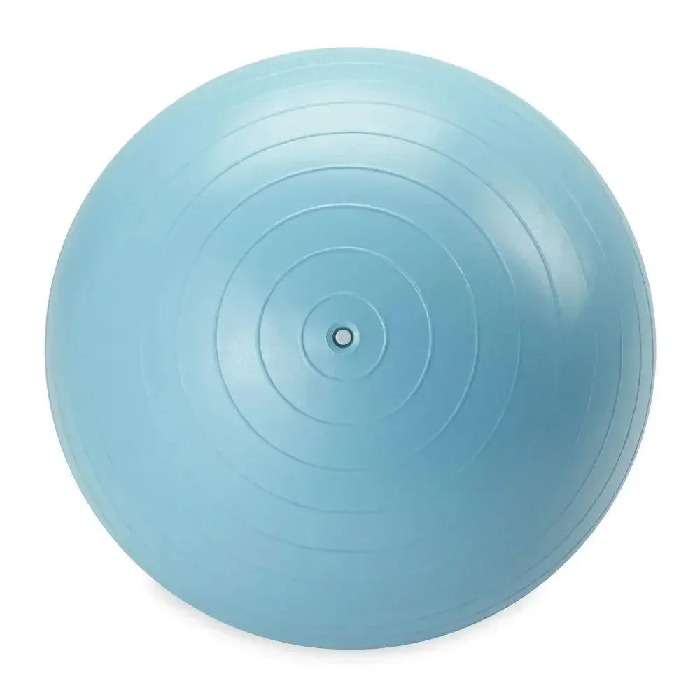 Weighted Stability Ball Exercise Ball With Pump Included
