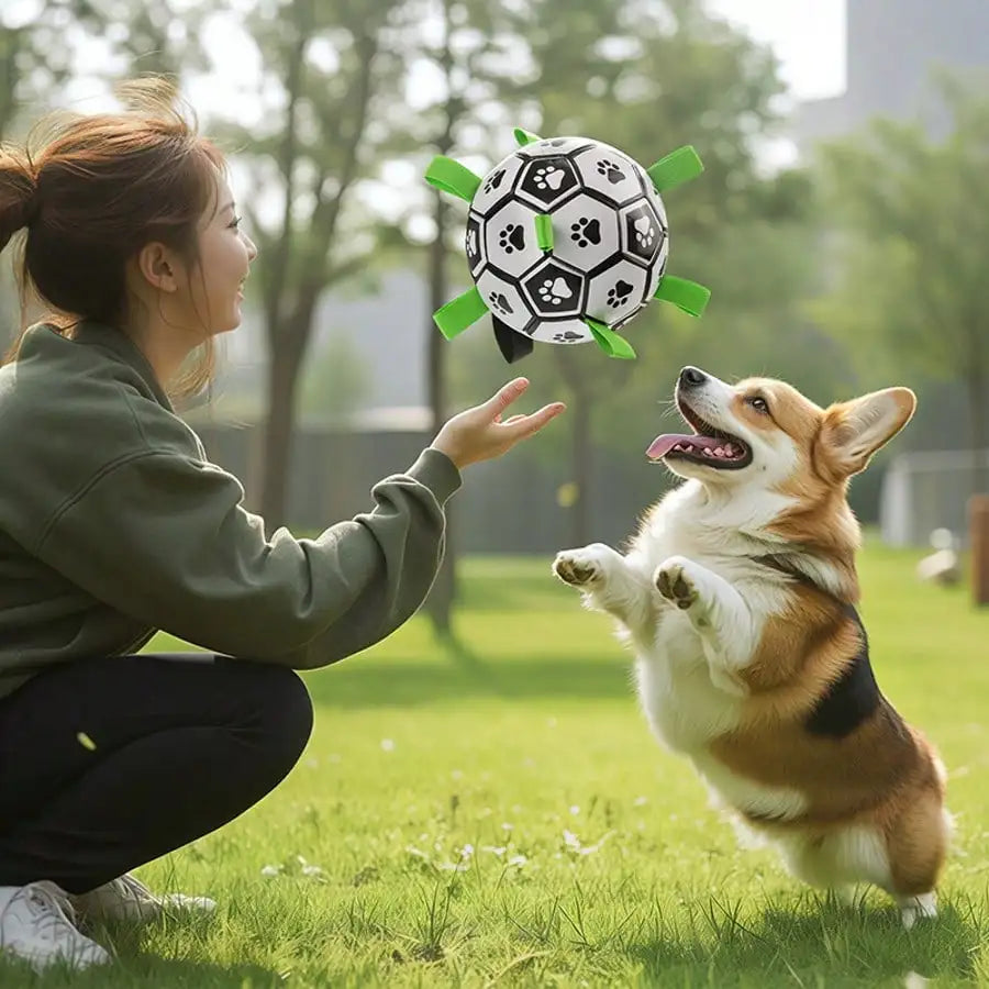 Chew Resistant Dog Ball Toy Soccer With Woven Strap Air Pump