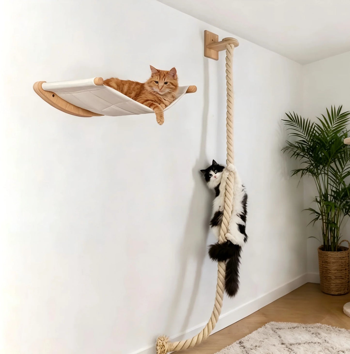 CWV Wall Mounted Cat Hammock Kit With Climbing Shelves Perches