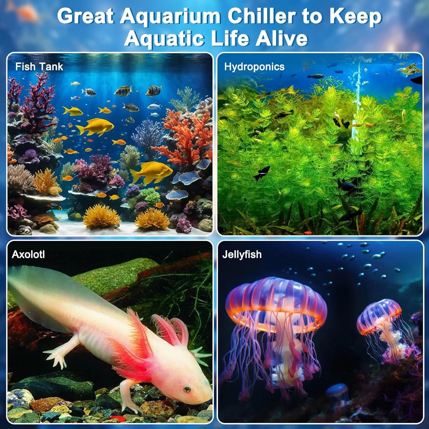 SHICUO Aquarium Chiller For Fish Tank One Third HP Remote