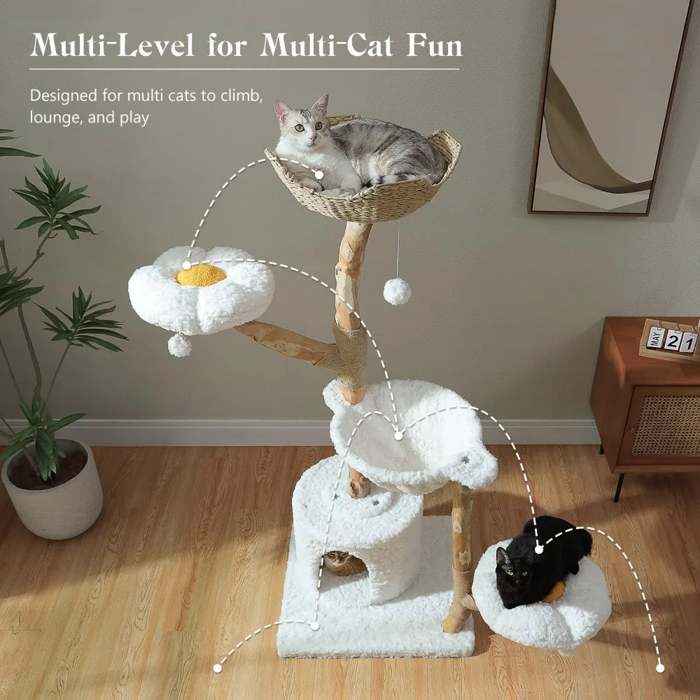 RBXC Modern Cat Tree Tower With Real Wood Branches And Flower Perches