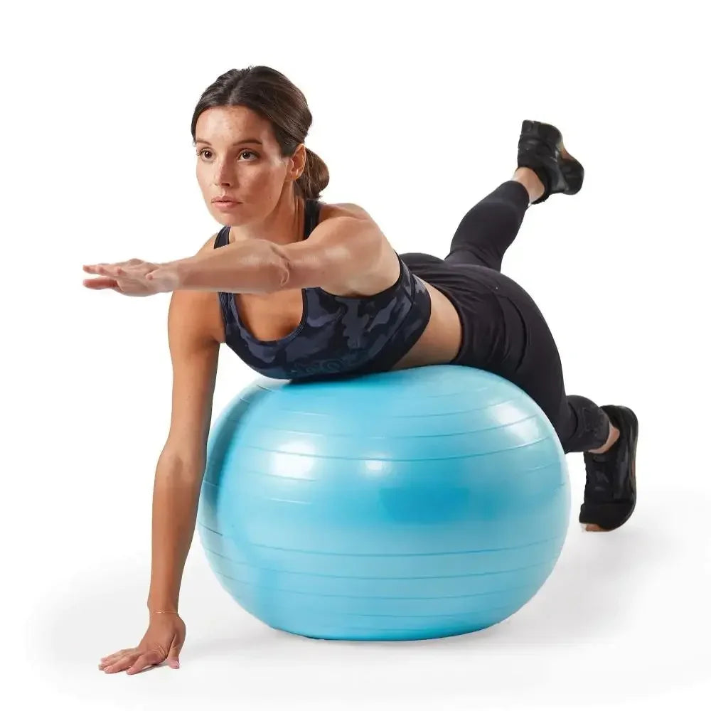 Weighted Stability Ball Exercise Ball With Pump Included