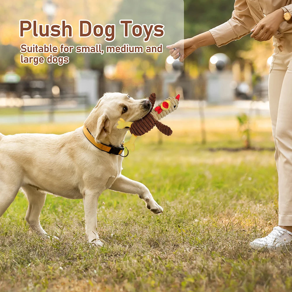 Five Pack Plush Dog Toys Squeaky Assorted Value Bundle