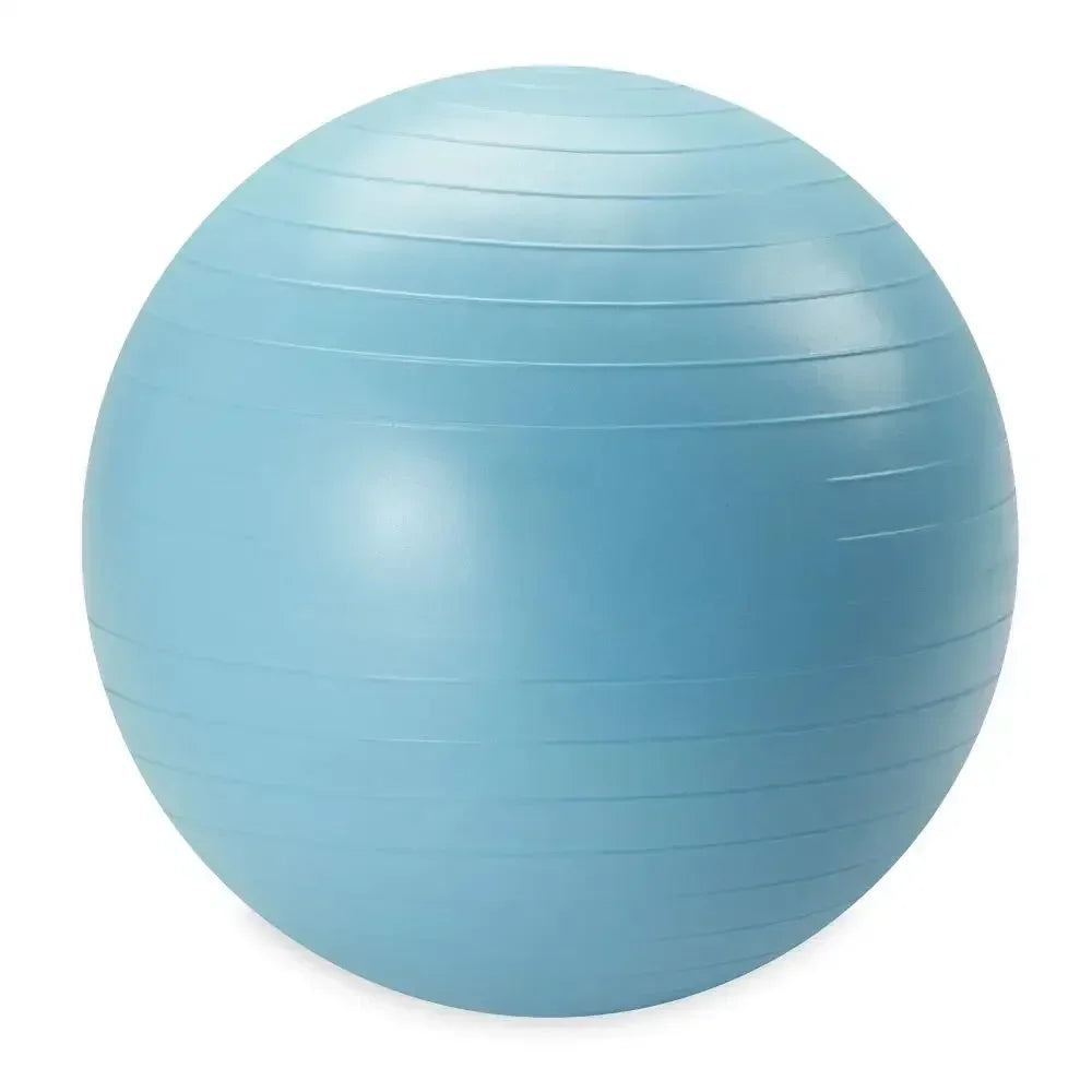 Weighted Stability Ball Exercise Ball With Pump Included