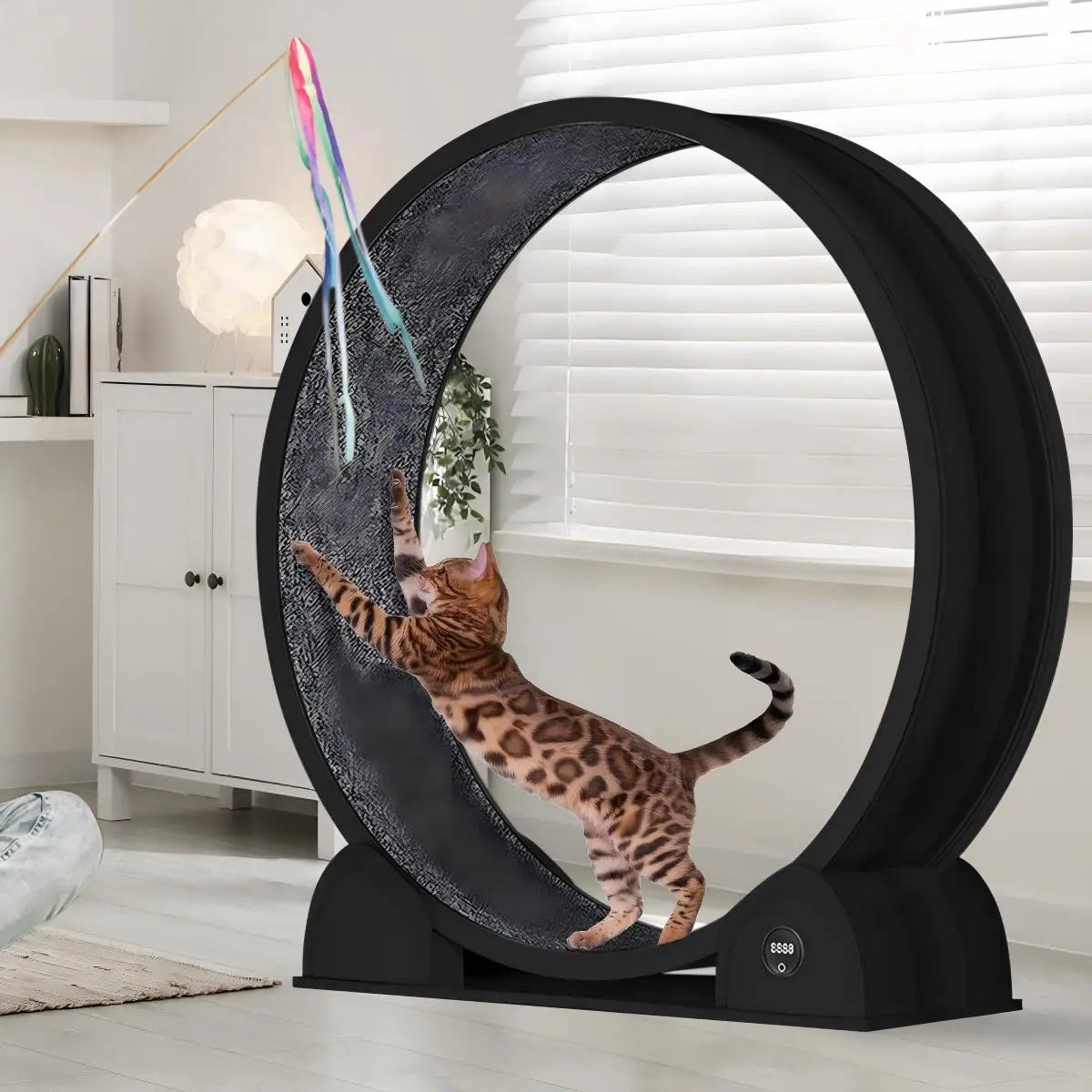 HiMISS Cat Exercise Wheel With Pedometer And Removable Mat
