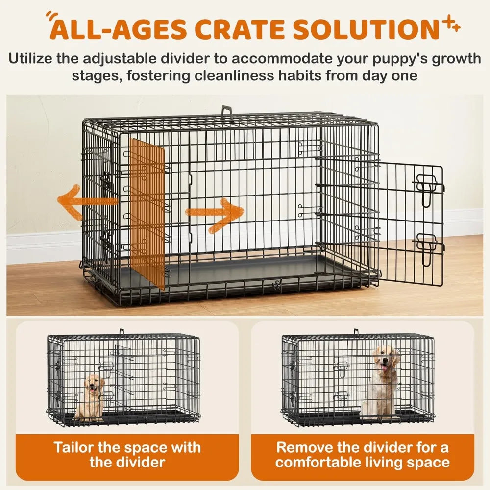 Collapsible Double Door Dog Crate With Divider And Removable Tray
