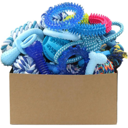 Puppy Chew Toys Bundle for Small Dogs – 20-Pack