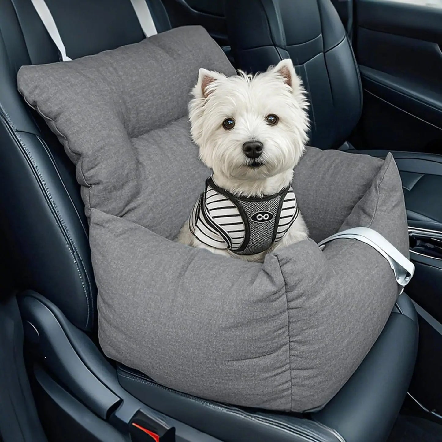HiMISS Dog Booster Car Seat For Small Dogs With Cushion