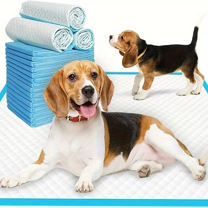 NONE Super Absorbent Odor Control Dog Diapers And Training Pads