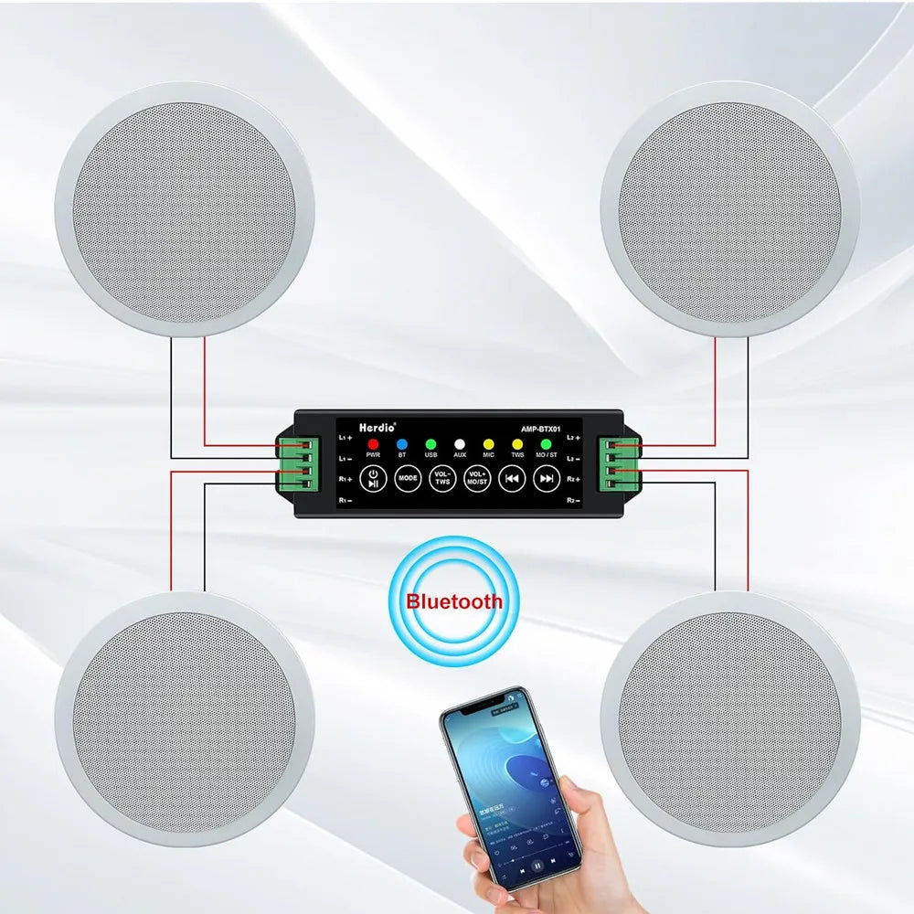 Herdio Bluetooth Ceiling Speaker System, Flush Mount, 600W