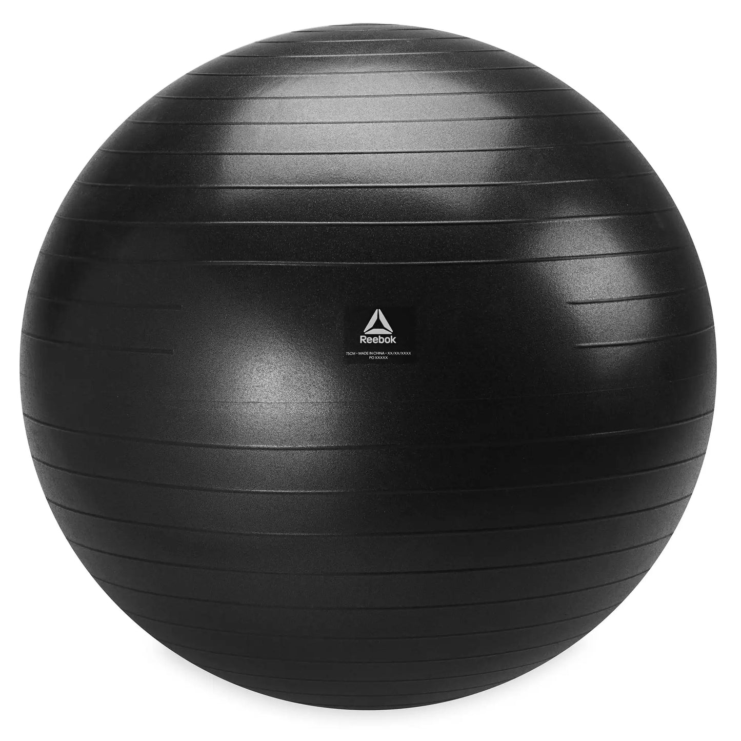 Weighted Stability Ball With Pump and Exercise Guide