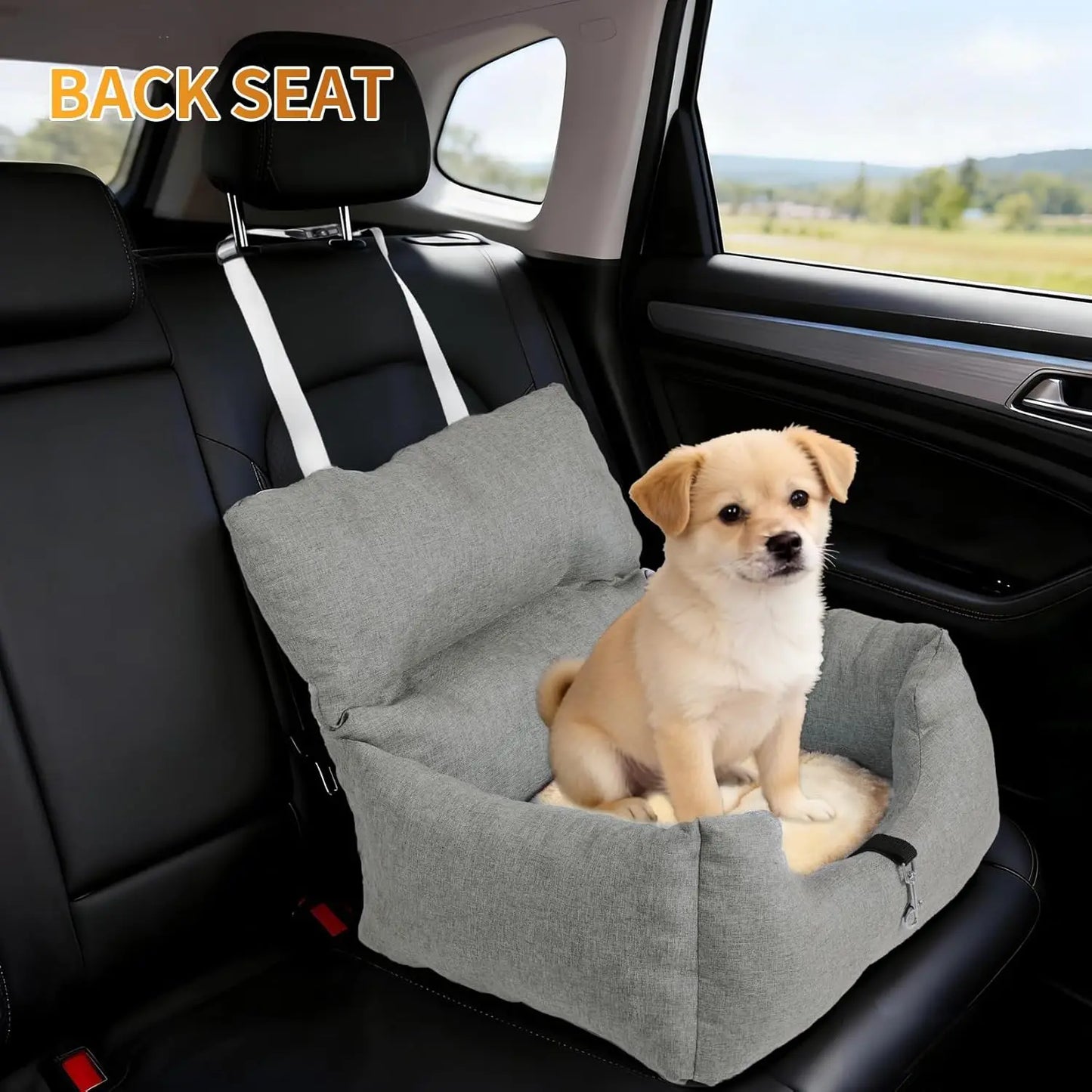 HiMISS Dog Booster Car Seat For Small Dogs With Cushion