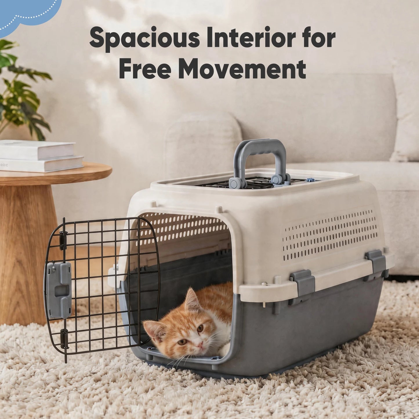 Pet Carrier For Small Dogs And Cats Front Wire Door