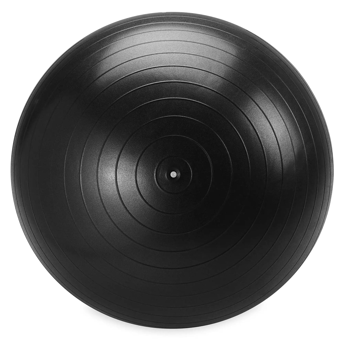 Weighted Stability Ball With Pump and Exercise Guide