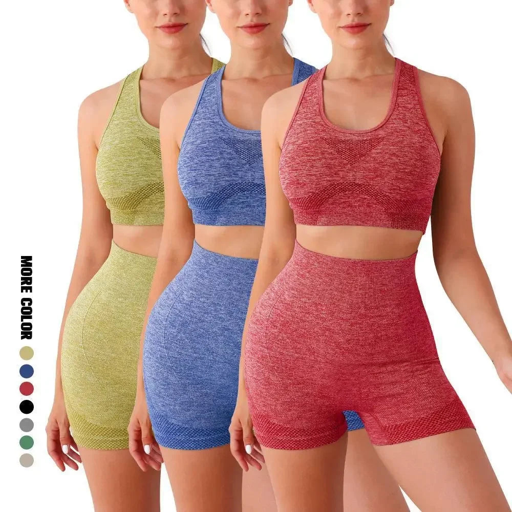 Seamless Yoga Set for Women Breathable Quick Dry Sports Bra and Shorts