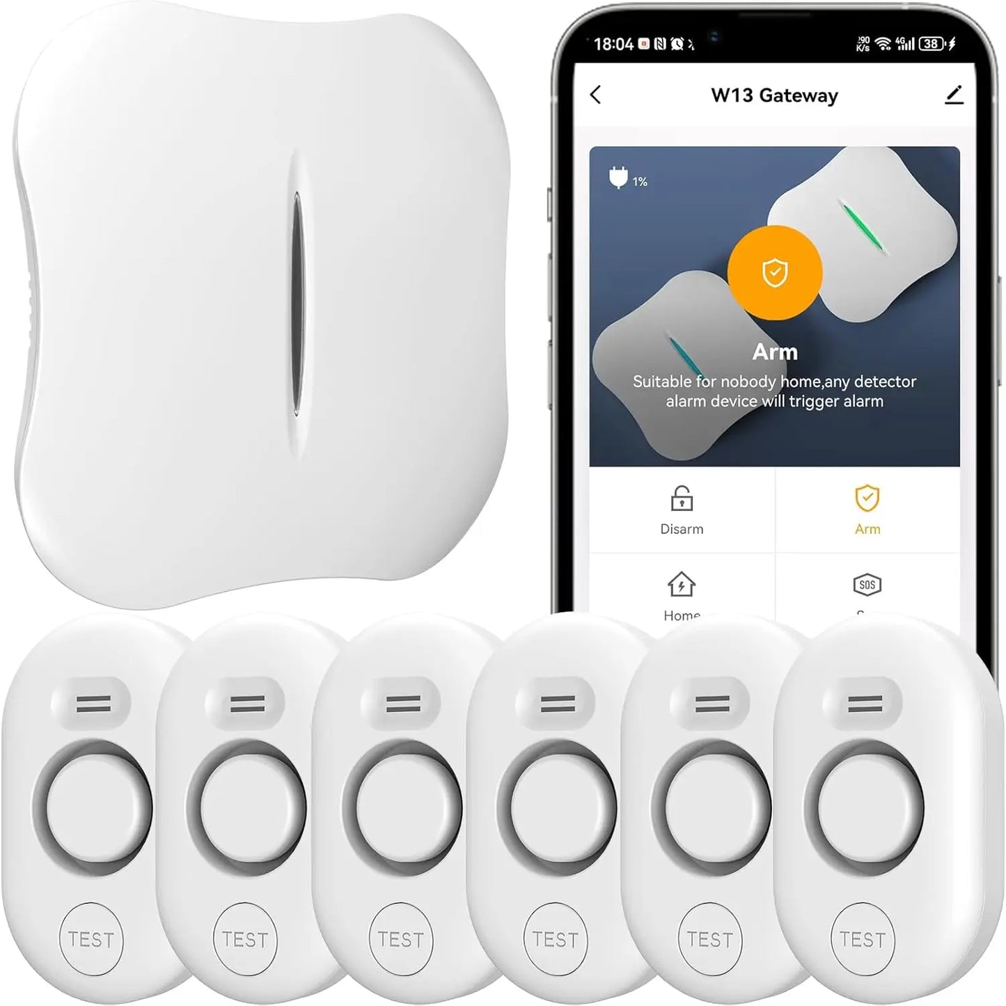 Smart WiFi Water Leak Detector With App Alerts