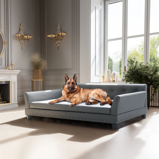 BINGOPAW Elevated Dog Sofa Bed – Waterproof & Durable