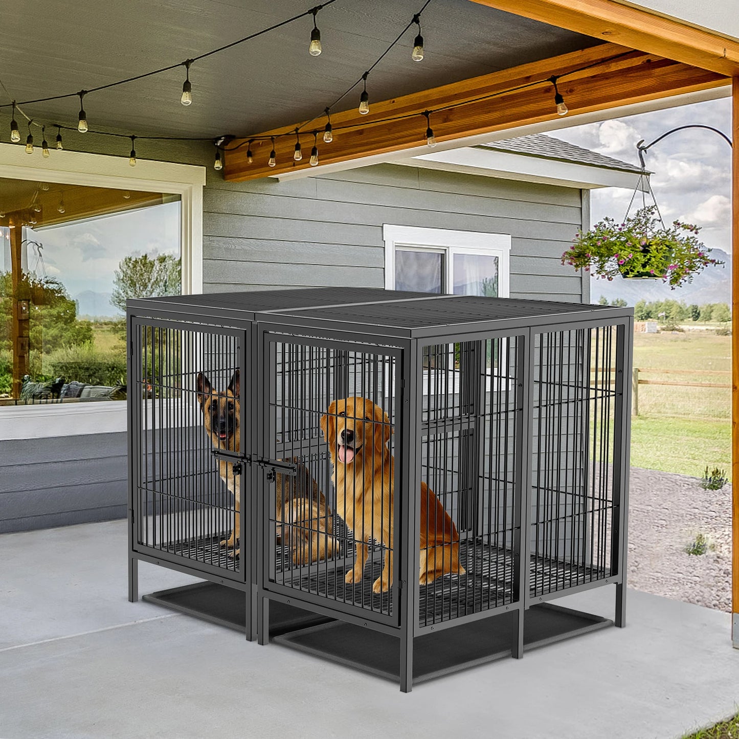 BINGOPAW Heavy Duty Metal Dog Cage With Tray Divider