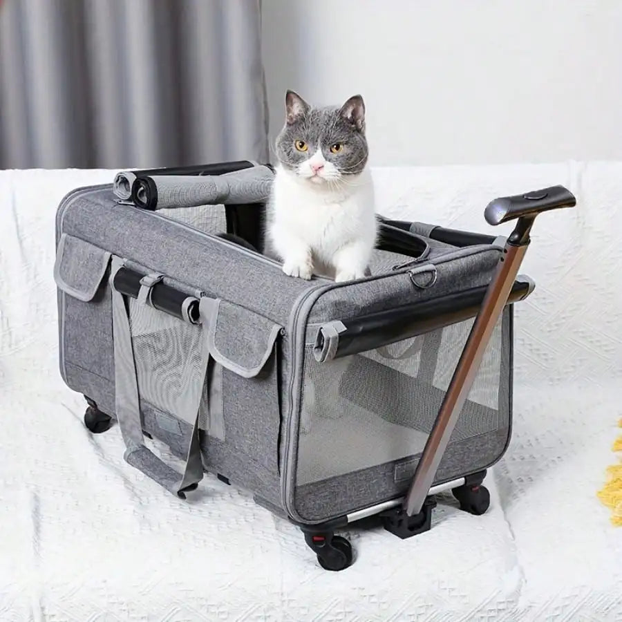 Airline Approved Rolling Pet Carrier With Detachable Wheels Telescopic Handle
