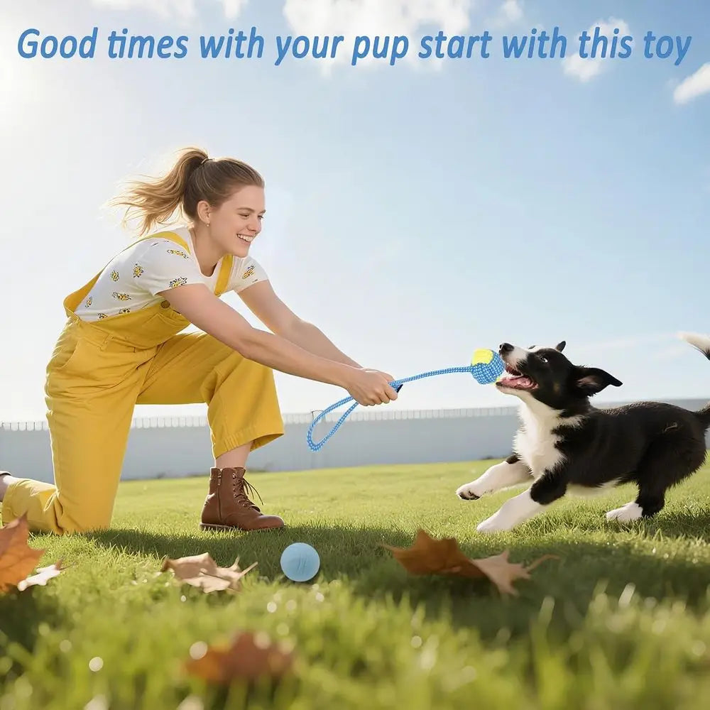 Puppy Chew Toys Bundle for Small Dogs 20 Pack Toys