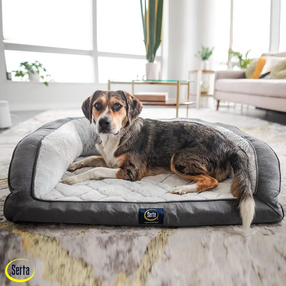 Orthopedic Quilted Couch Dog Bed For Pets With Support