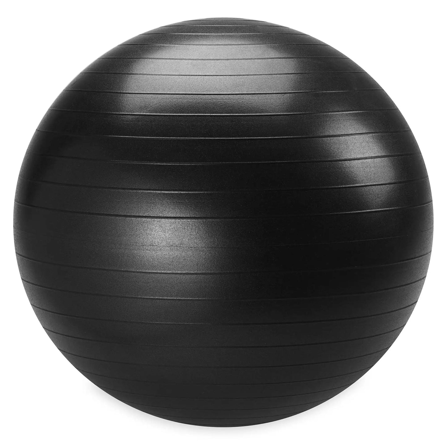 Weighted Stability Ball With Pump and Exercise Guide