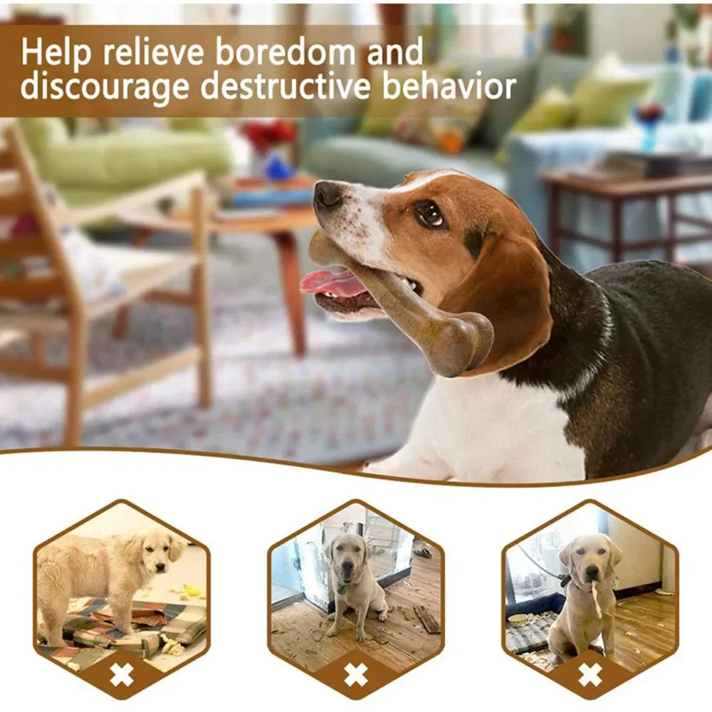 Durable Dog Bone Chew Toys Nearly Indestructible Non-Toxic Dental Care
