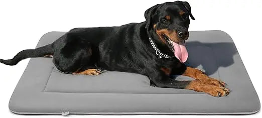 Dafify Soft Dog Bed with Non-Slip Bottom Machine Washable