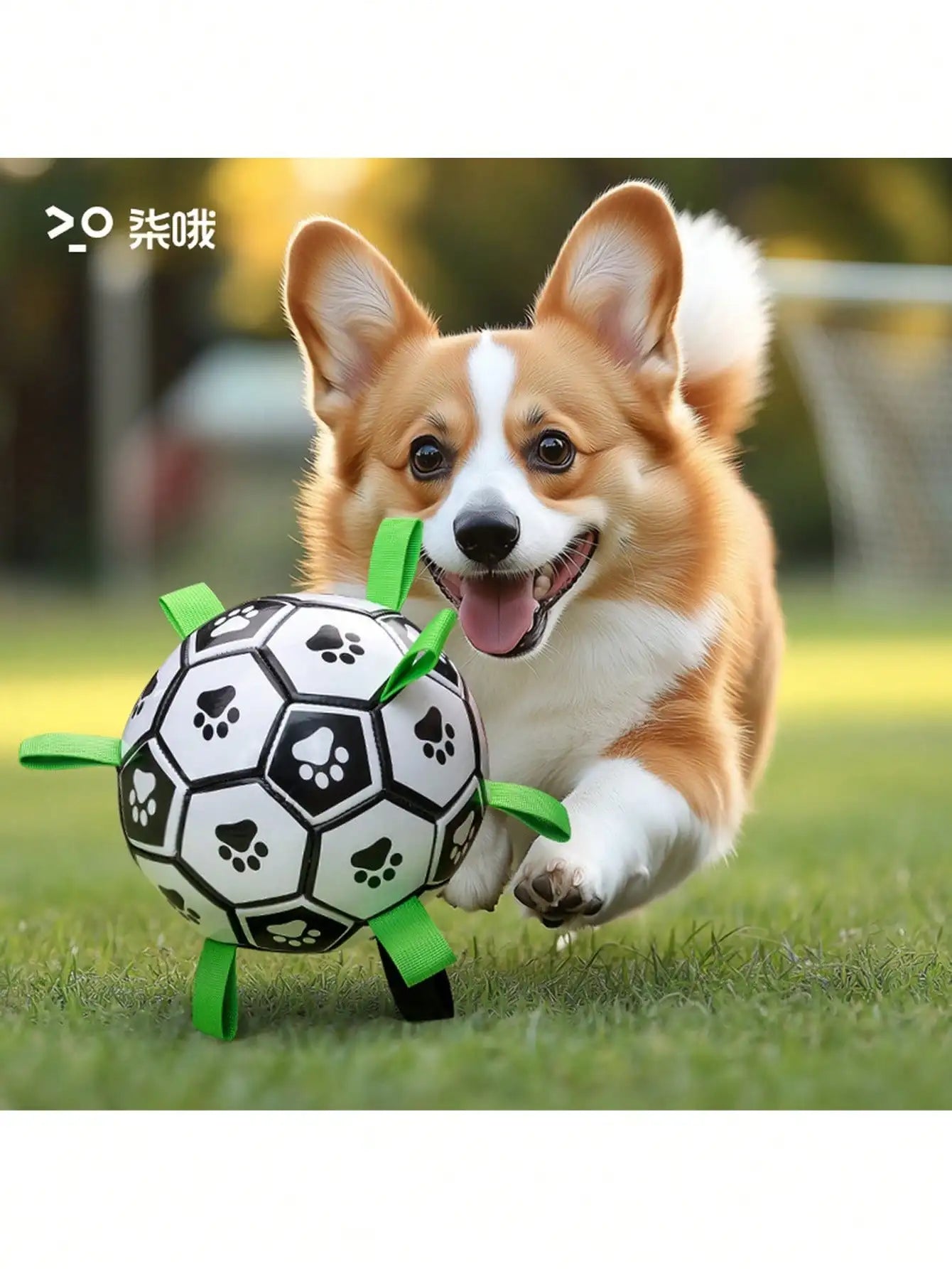 Chew Resistant Dog Ball Toy Soccer With Woven Strap Air Pump
