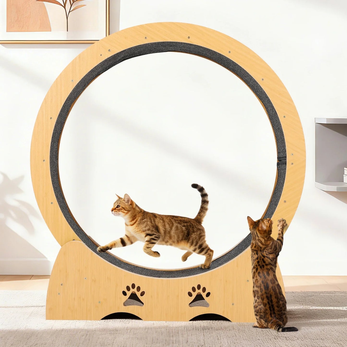 HiMISS CN Cat Exercise Wheel With Low Noise Runway