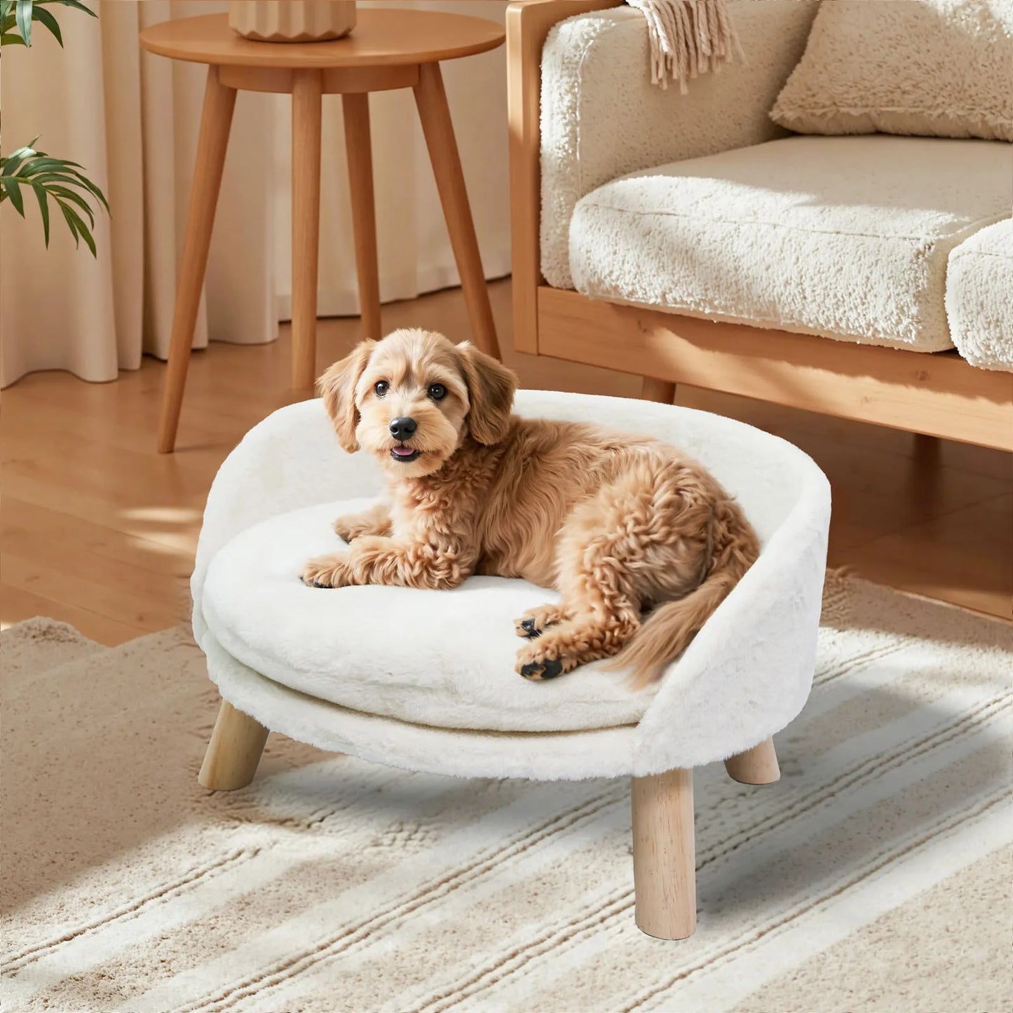 BORWART CN Ultra Soft Elevated Dog Cat Sofa Bed Lounger
