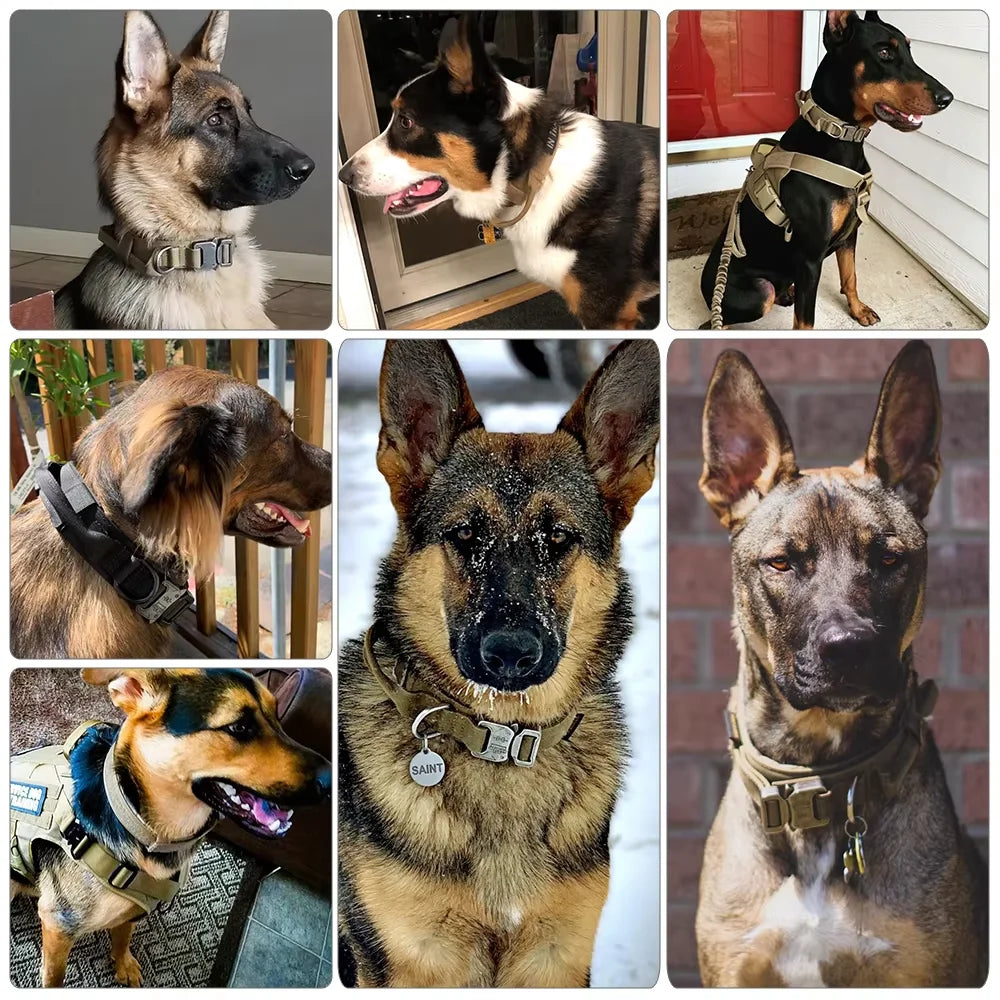 Adjustable Tactical Dog Training Collar And Leash Set