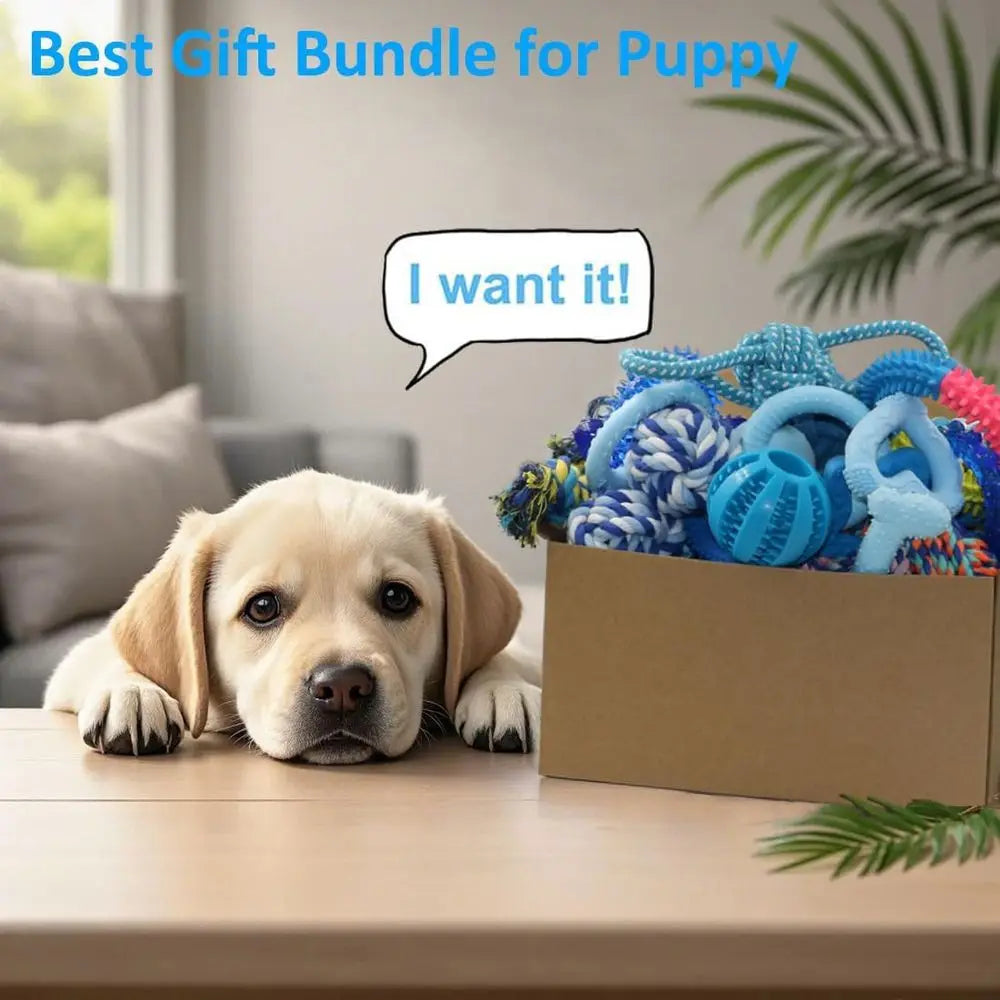 Puppy Chew Toys Bundle for Small Dogs 20 Pack Toys