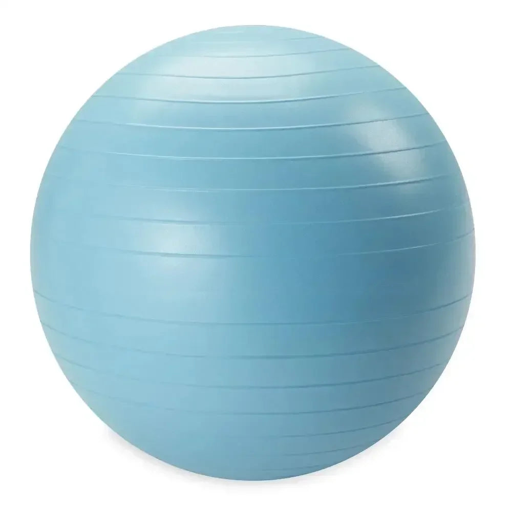 Weighted Stability Ball Exercise Ball With Pump Included