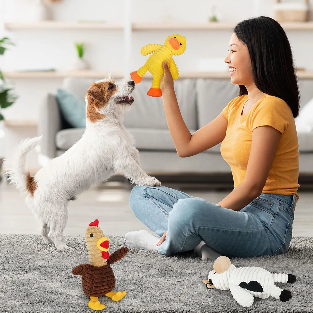 Five Pack Plush Dog Toys Squeaky Assorted Value Bundle