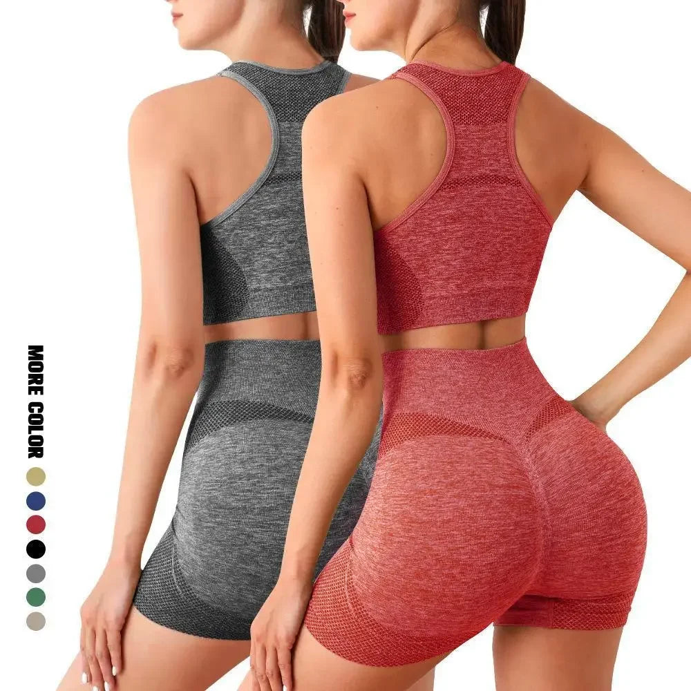 Seamless Yoga Set for Women Breathable Quick Dry Sports Bra and Shorts