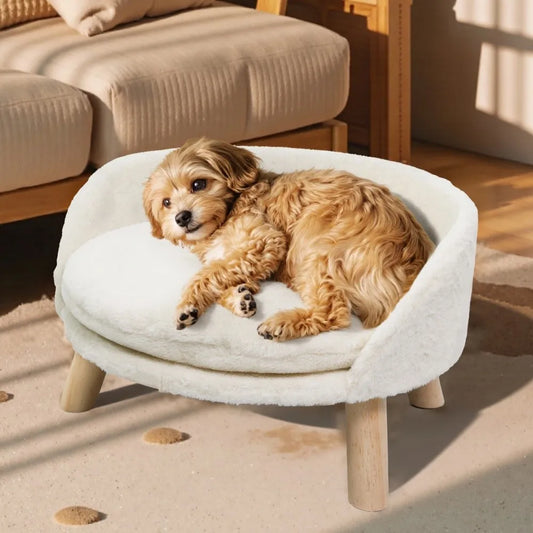 BORWART Cushioned Elevated Pet Sofa Bed for Dogs & Cats