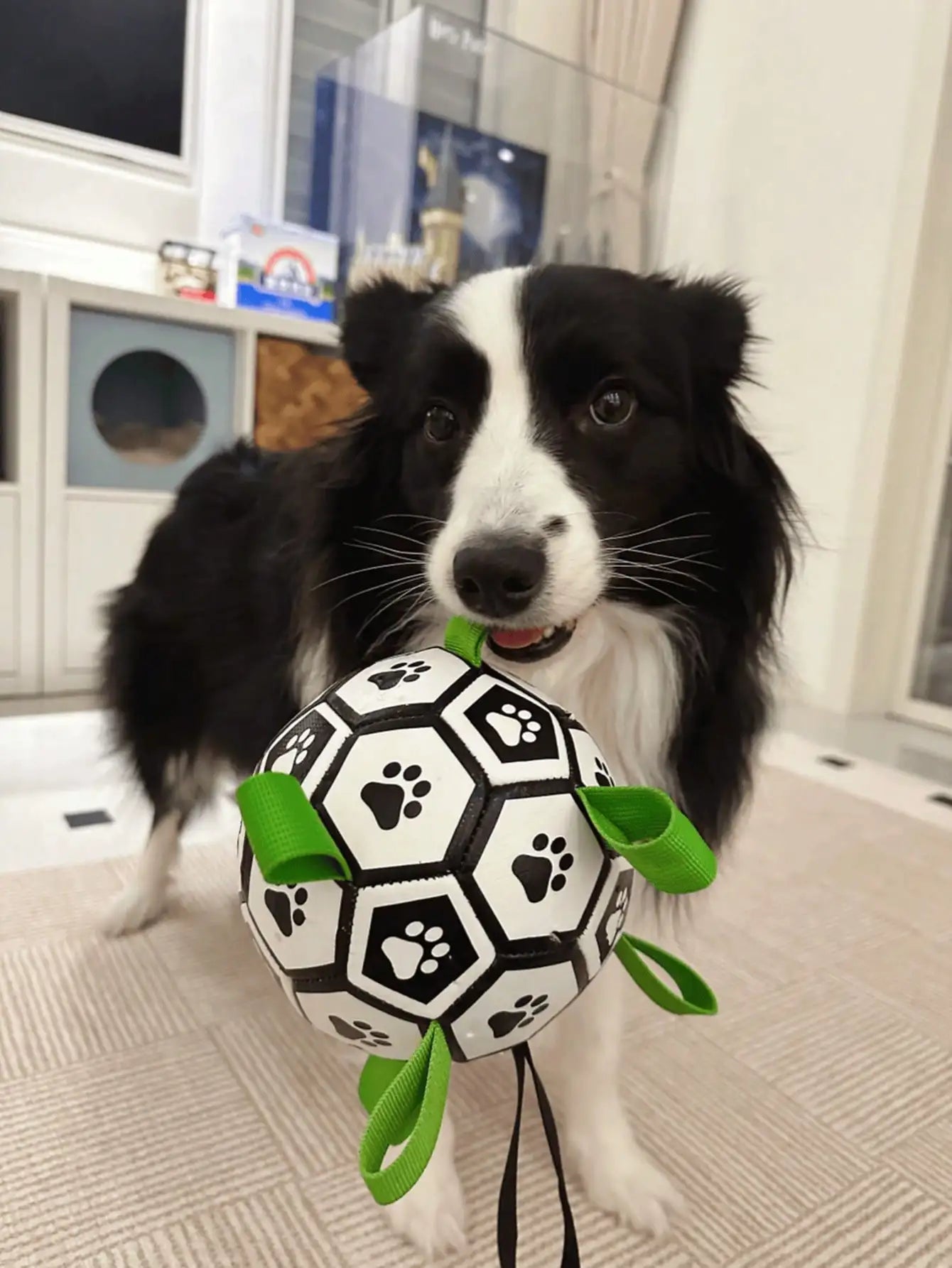Chew Resistant Dog Ball Toy Soccer With Woven Strap Air Pump