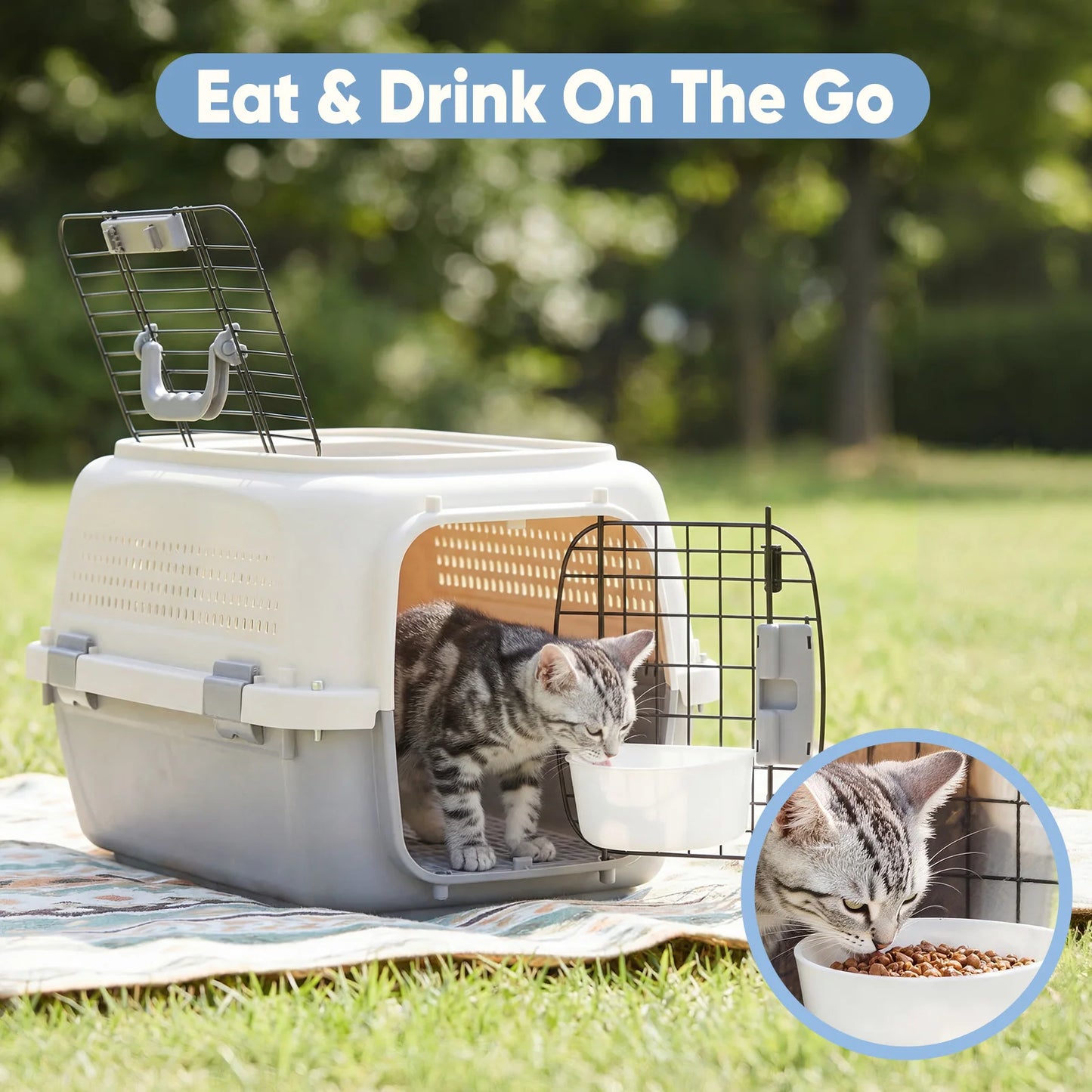 Pet Carrier For Small Dogs And Cats Front Wire Door