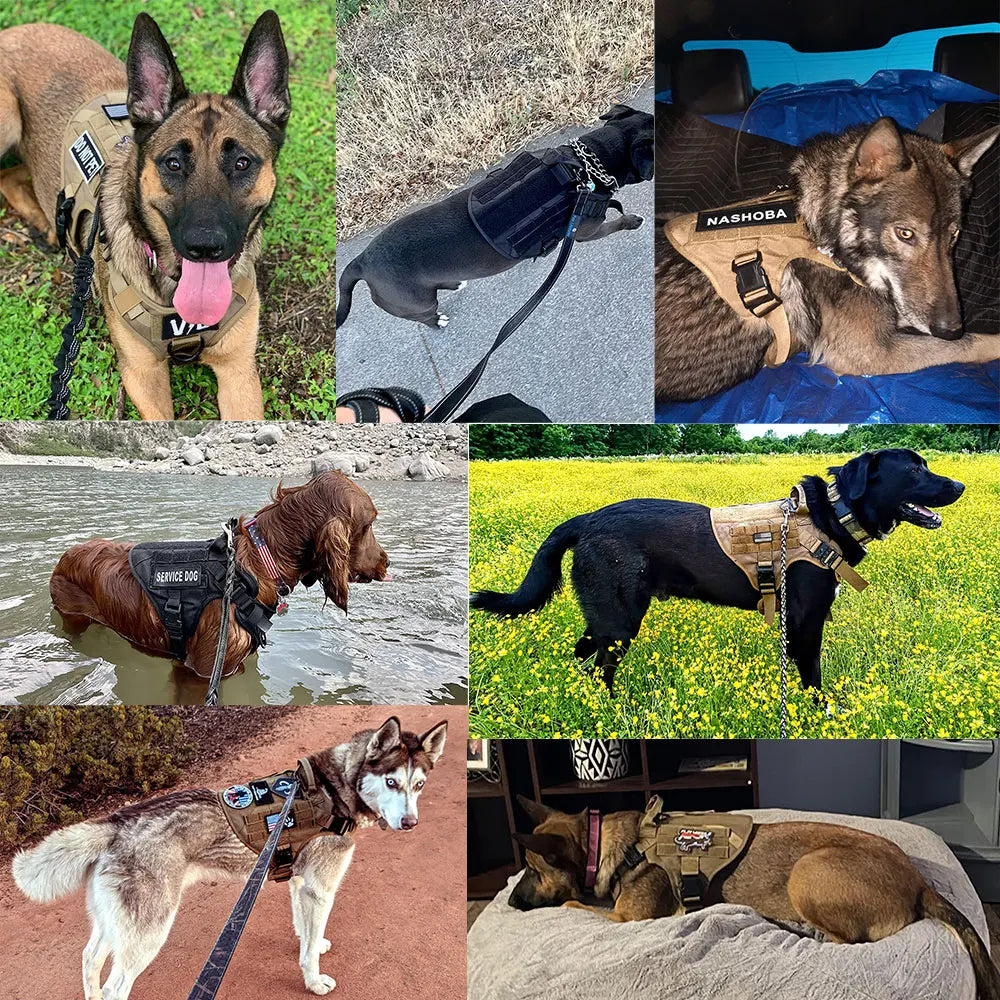 PETRAVELCN Dog Harness And Leash Set Vest For Training