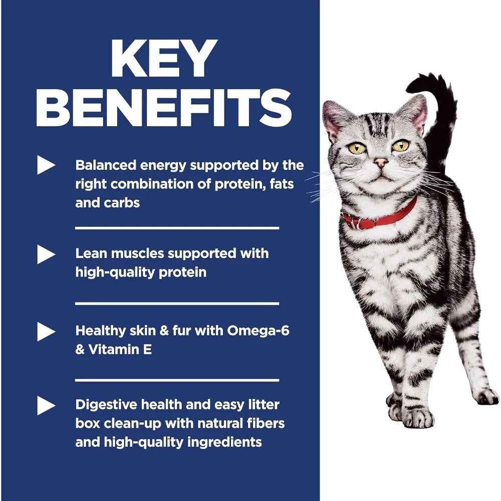 Indoor Adult Cat Food Chicken Dry Kibble For Cats 1to6