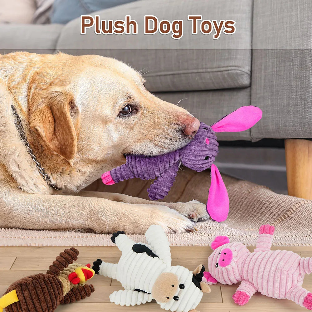 Five Pack Plush Dog Toys Squeaky Assorted Value Bundle